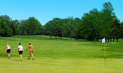 Bay of Plenty Golf Course with visitors playing golf in the New Zealand sun